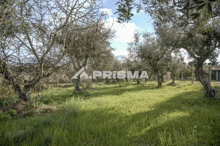 Terreno para Venda em Póvoa de Rio de Moinhos e Cafede Foto 3