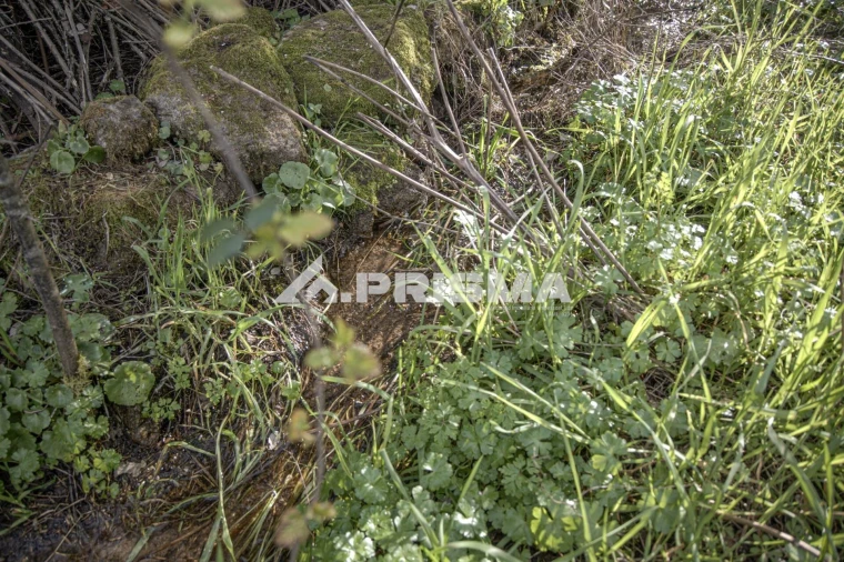 Terreno para Venda em Póvoa de Rio de Moinhos e Cafede Foto 19