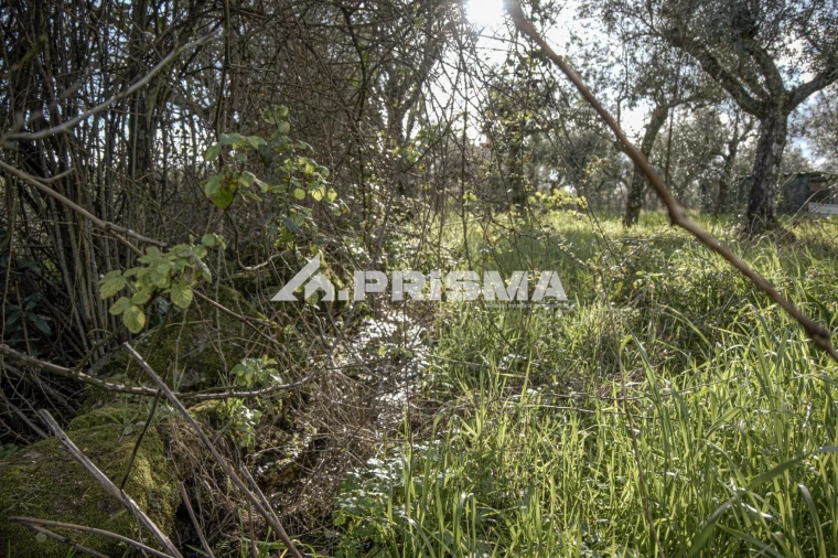 Terreno para Venda em Póvoa de Rio de Moinhos e Cafede Foto 18
