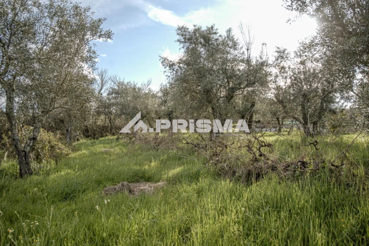 Terreno para Venda em Póvoa de Rio de Moinhos e Cafede Foto 16