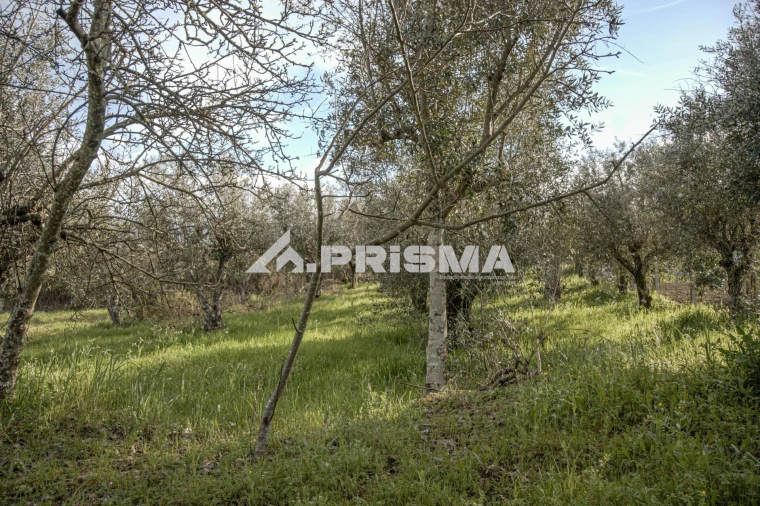 Terreno para Venda em Póvoa de Rio de Moinhos e Cafede Foto 10