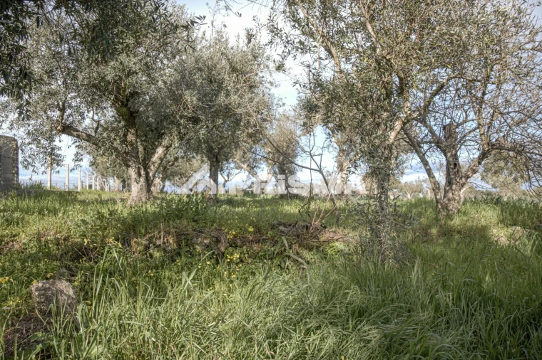 Terreno para Venda em Póvoa de Rio de Moinhos e Cafede Foto 23
