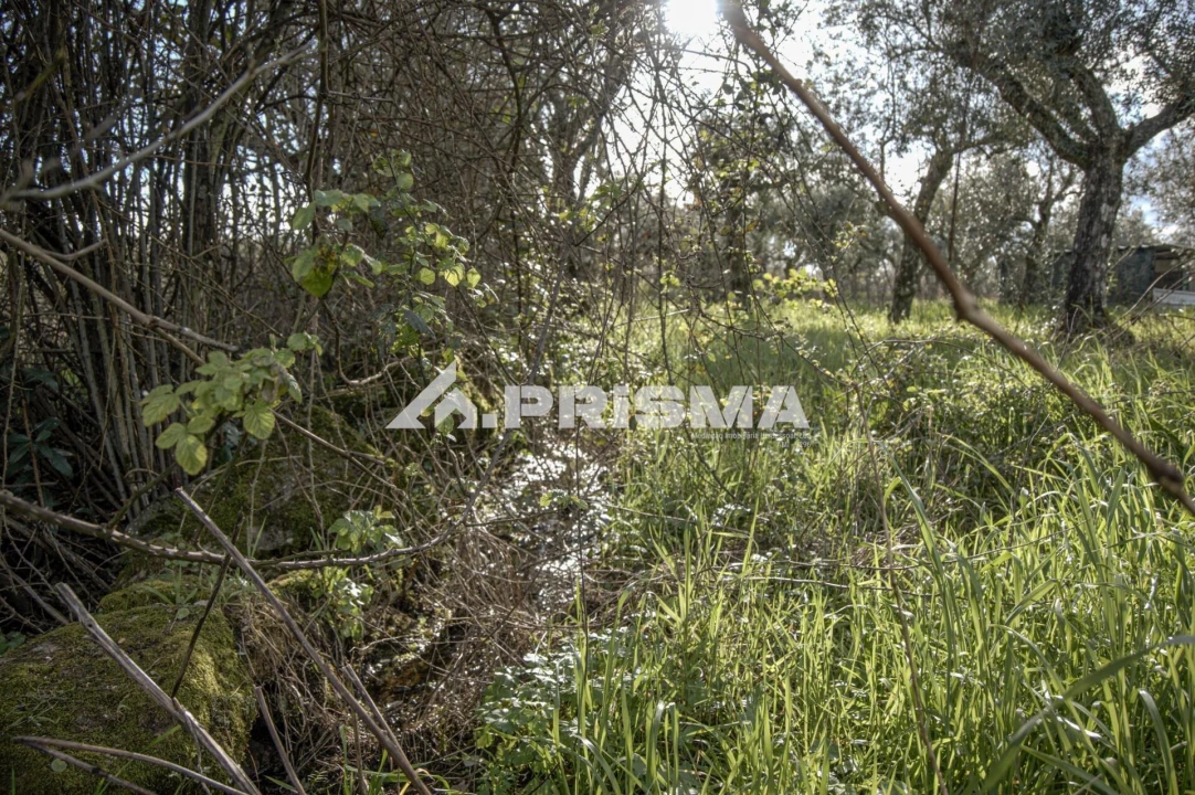Terreno para Venda em Póvoa de Rio de Moinhos e Cafede Foto 18