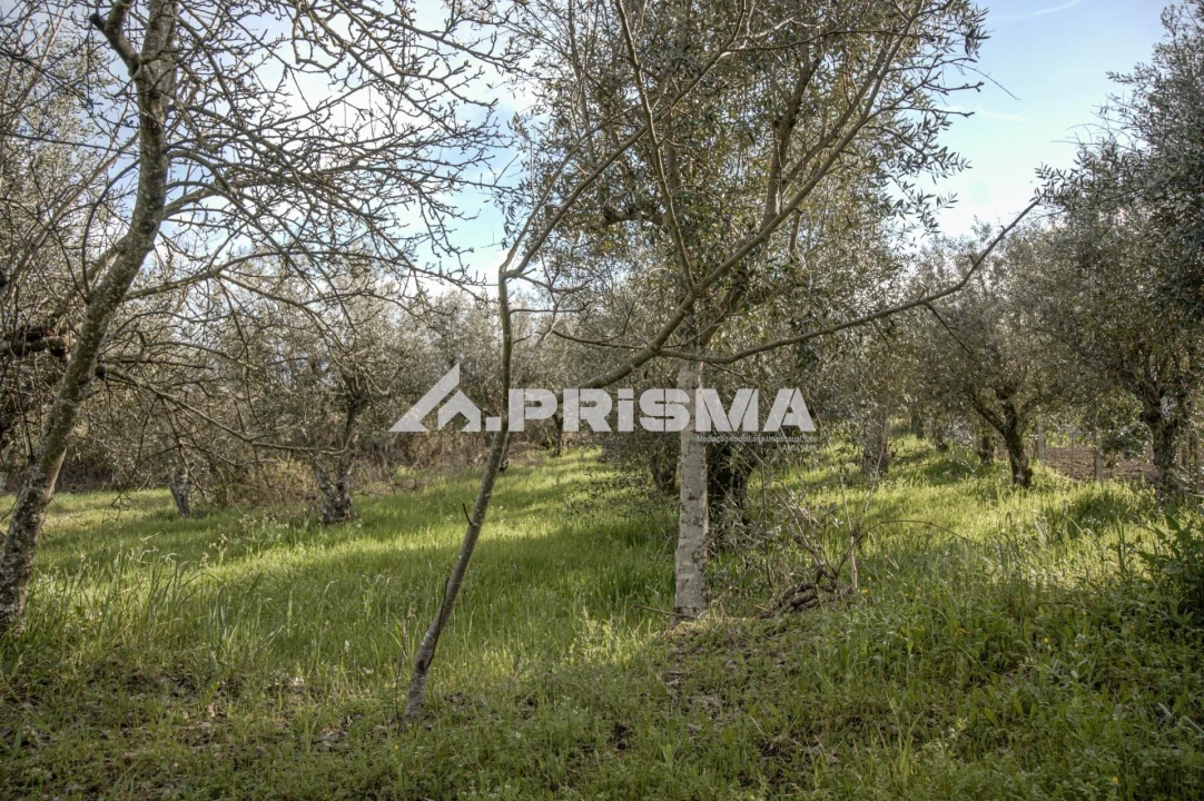 Terreno para Venda em Póvoa de Rio de Moinhos e Cafede Foto 10