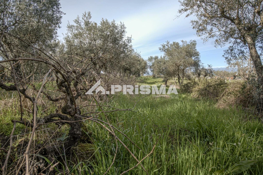 Terreno para Venda em Póvoa de Rio de Moinhos e Cafede Foto 15