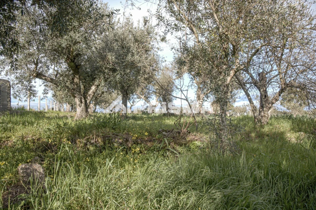 Terreno para Venda em Póvoa de Rio de Moinhos e Cafede Foto 23