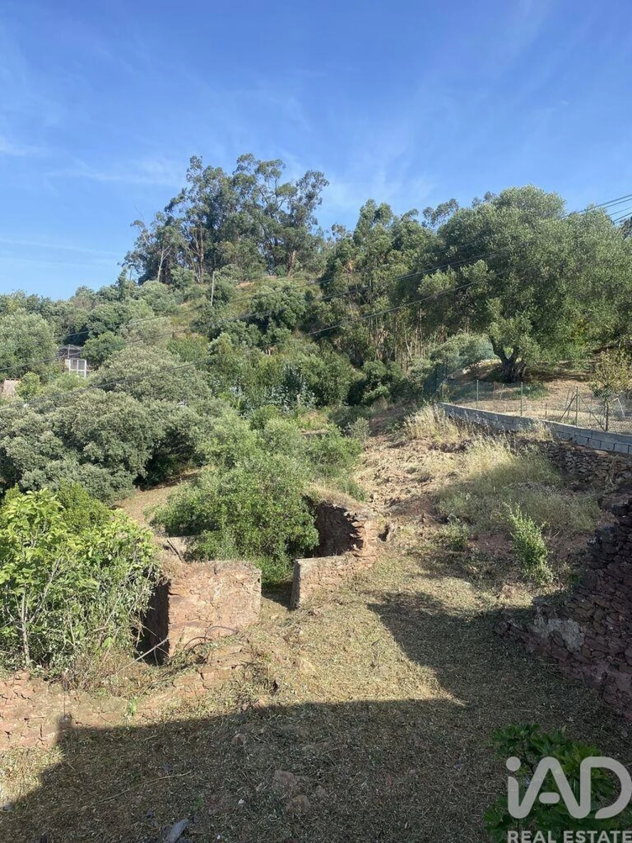 Terreno para Venda em São Brás de Alportel Foto 5