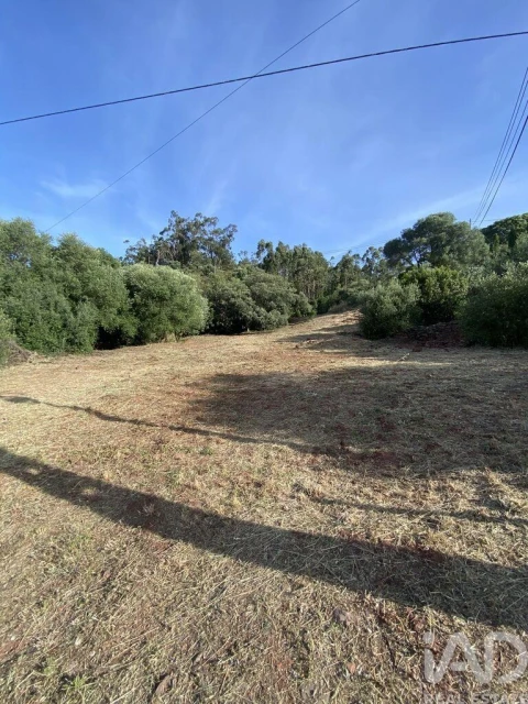 Terreno para Venda em São Brás de Alportel