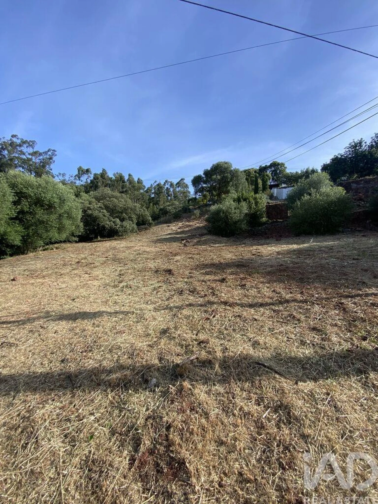 Terreno para Venda em São Brás de Alportel Foto 12