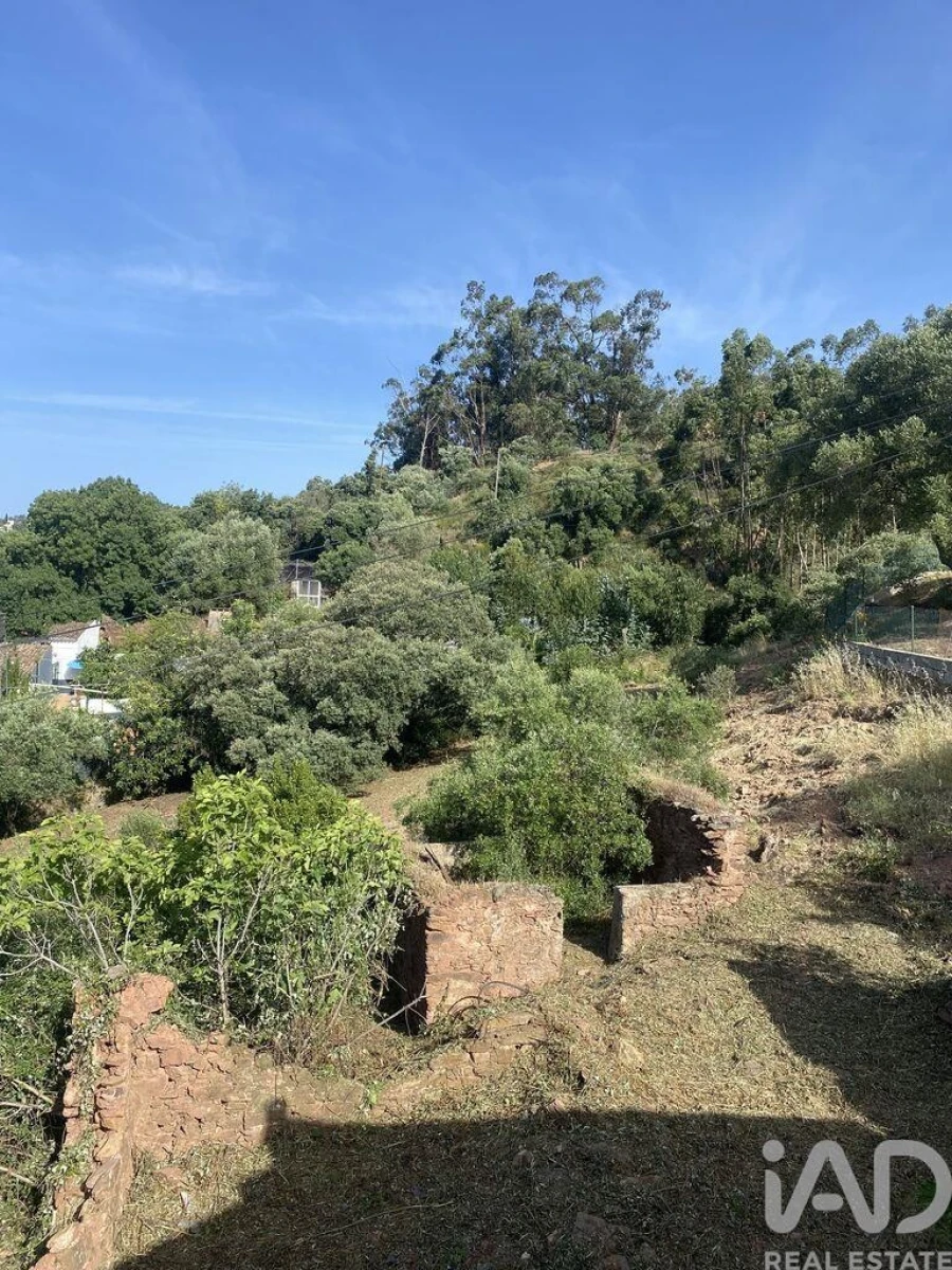 Terreno para Venda em São Brás de Alportel Foto 7