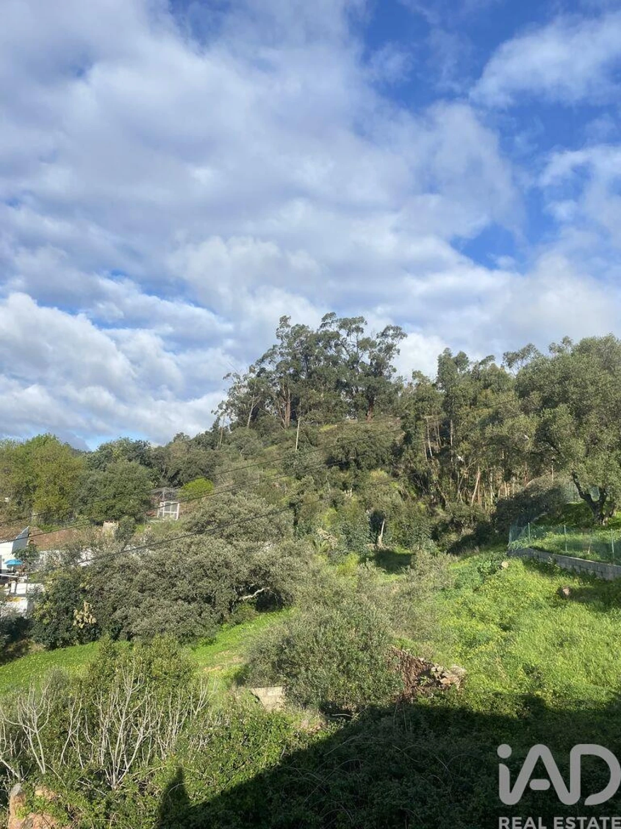 Terreno para Venda em São Brás de Alportel Foto 7