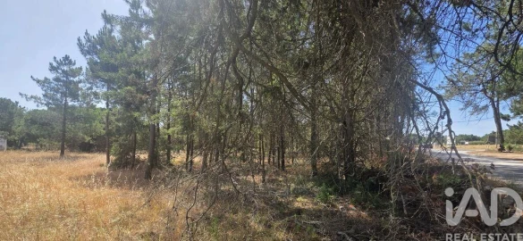 Terreno para Venda em Sesimbra (Castelo)