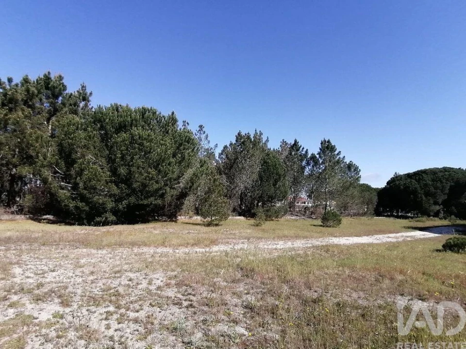 Terreno para Venda em Sesimbra (Castelo) Foto 6
