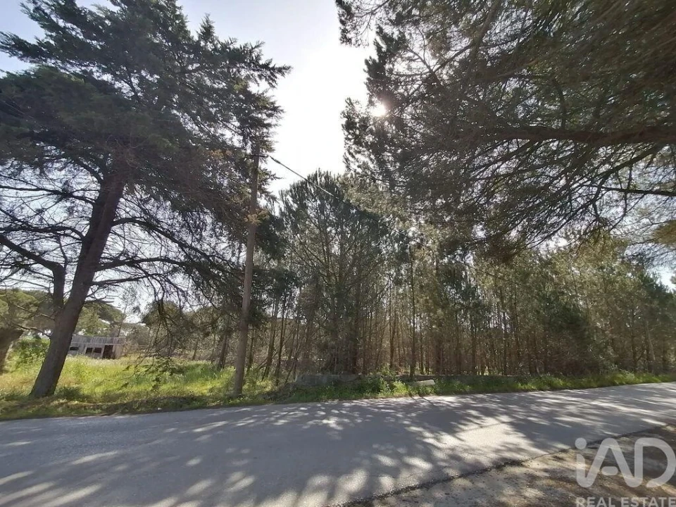 Terreno para Venda em Sesimbra (Castelo) Foto 4