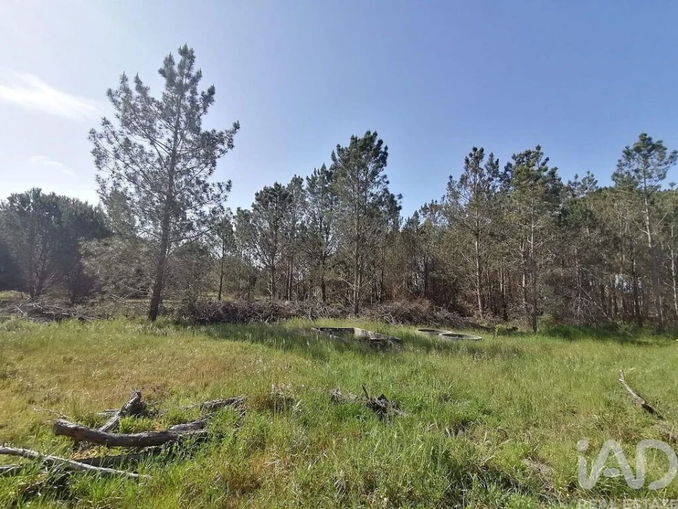 Terreno para Venda em Sesimbra (Castelo) Foto 7