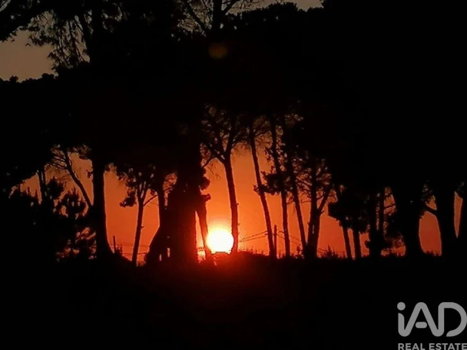 Terreno para Venda em Sesimbra (Castelo) Foto 10