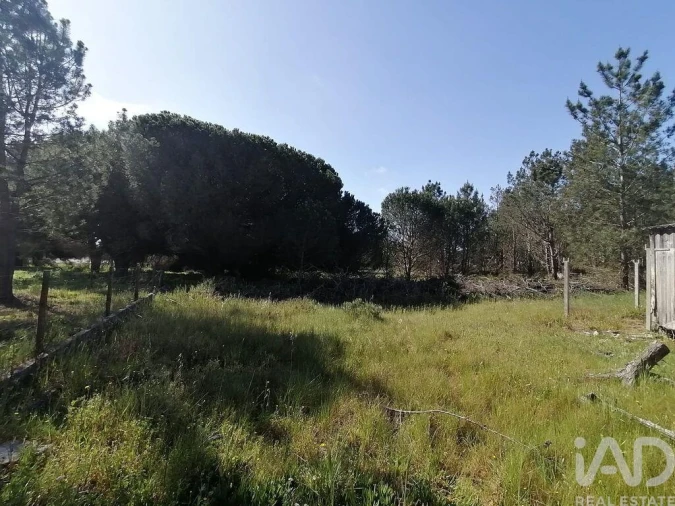Terreno para Venda em Sesimbra (Castelo) Foto 5