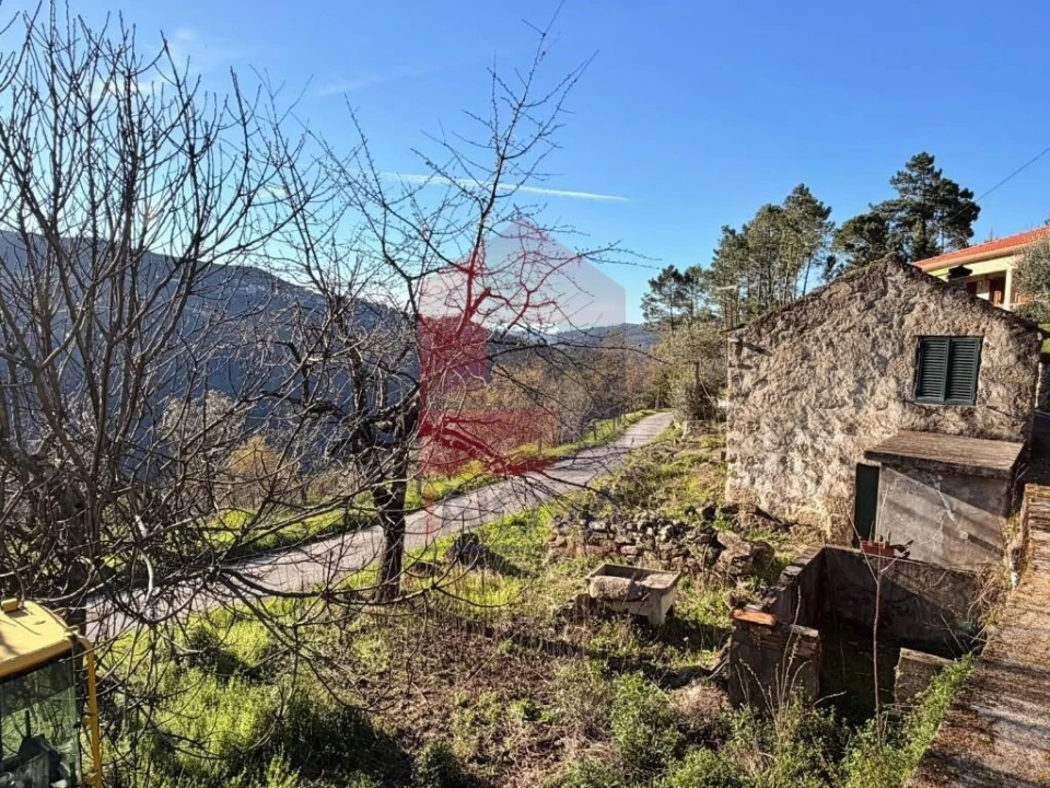 Moradia para Venda em Freigil e Miomães Foto 9