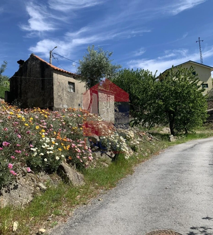 Moradia para Venda em Freigil e Miomães Foto 4