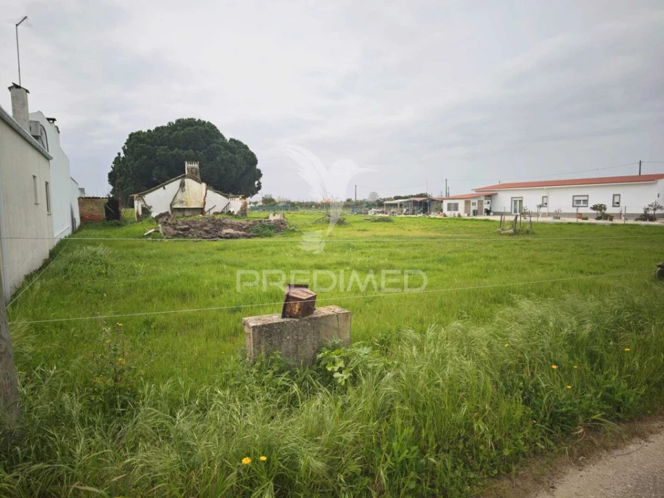 Terreno para Venda em Marinhais Foto 3