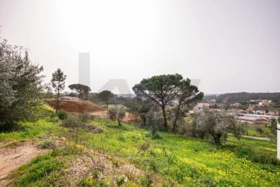 Terreno para Venda em Assafarge e Antanhol