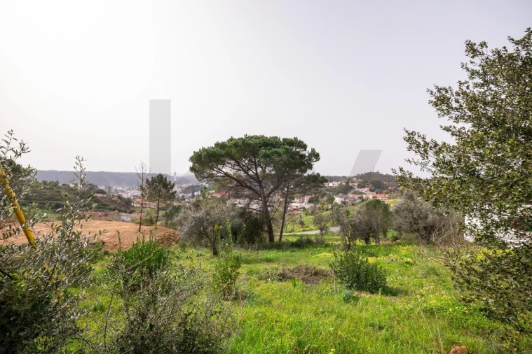 Terreno para Venda em Assafarge e Antanhol Foto 27