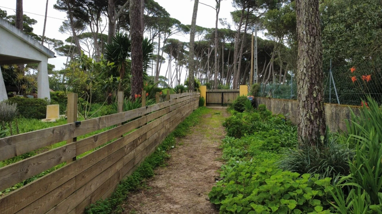 Terreno para Venda em Colares Foto 29