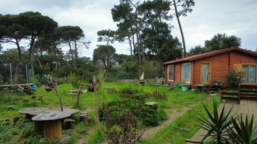 Terreno para Venda em Colares Foto 6
