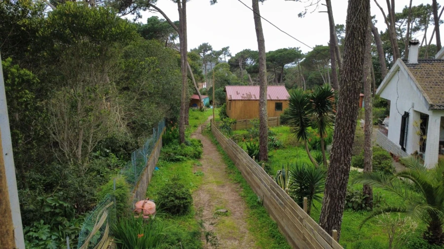 Terreno para Venda em Colares Foto 30