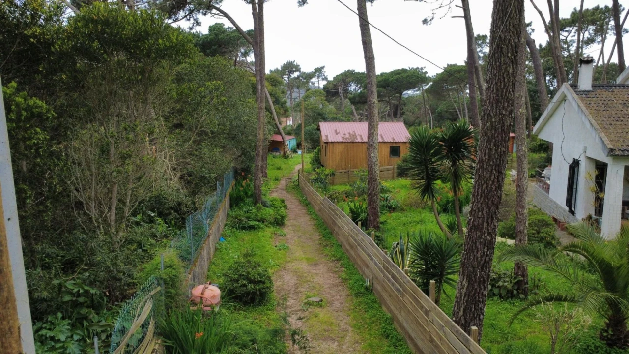 Terreno para Venda em Colares Foto 30