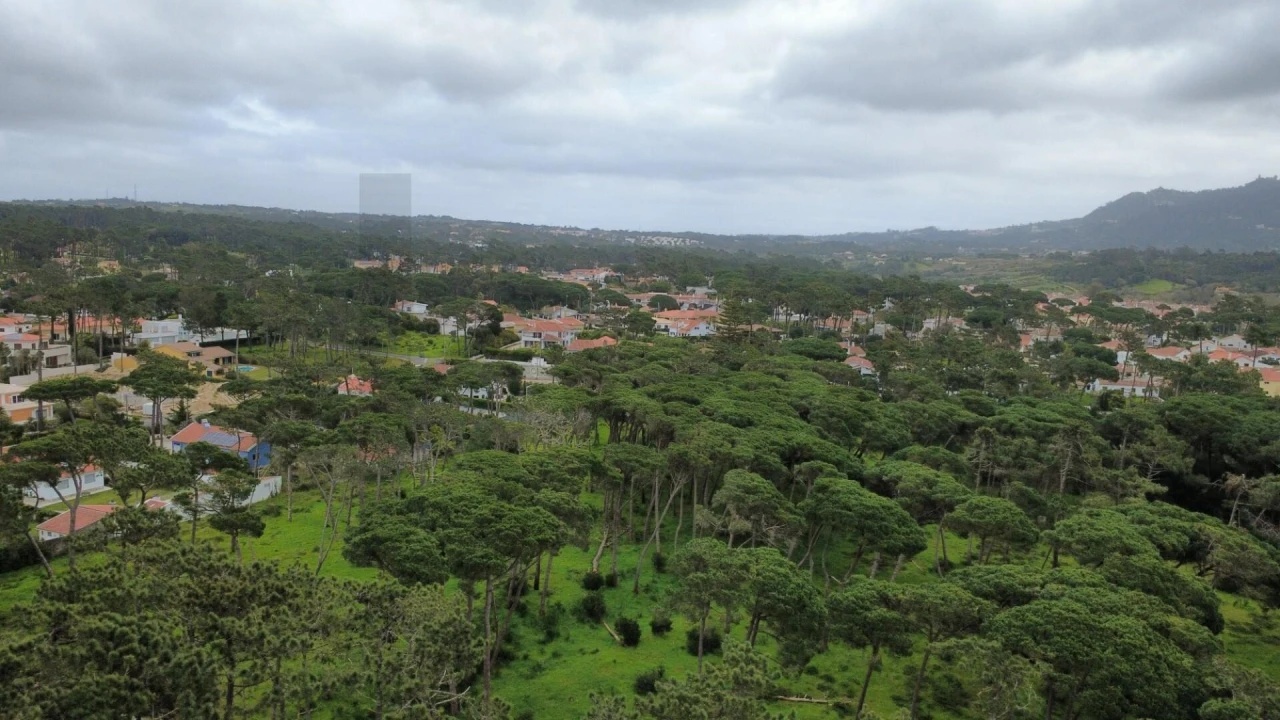 Terreno para Venda em Colares Foto 32