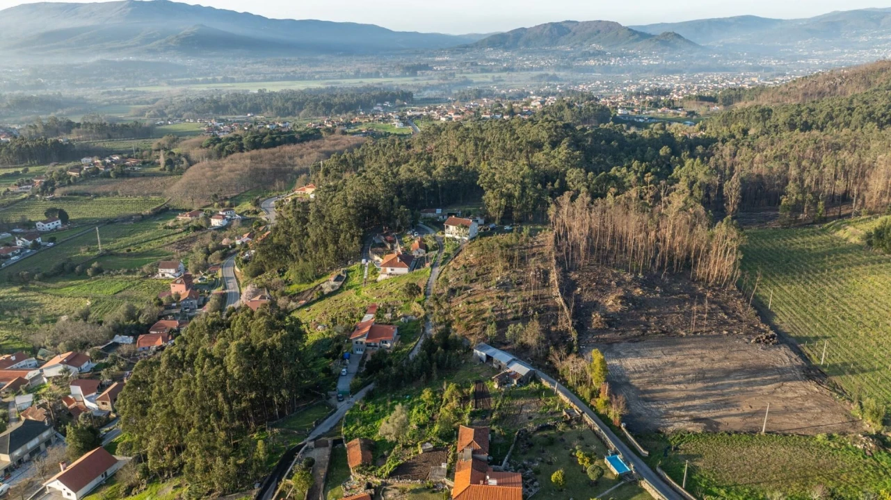 Terreno para Venda em Facha Foto 9