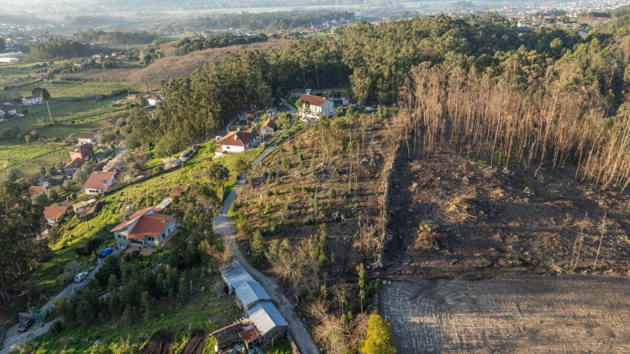 Terreno para Venda em Facha Foto 10