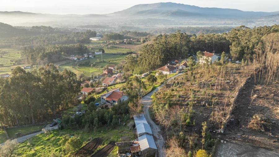 Terreno para Venda em Facha Foto 13