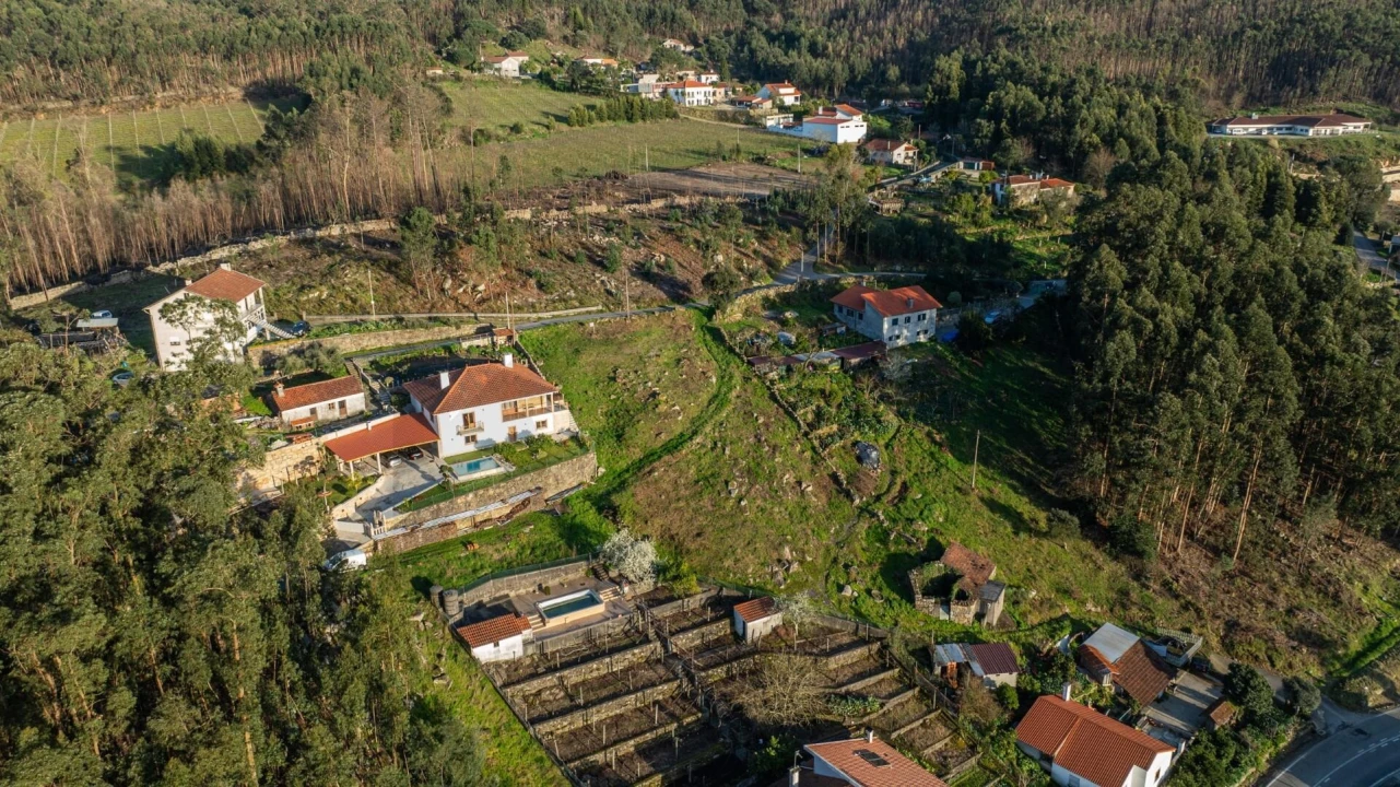Terreno para Venda em Facha Foto 5