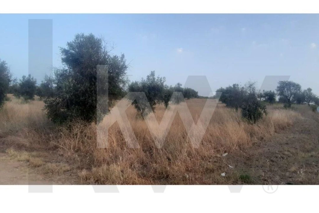 Terreno para Venda em Avis Foto 2