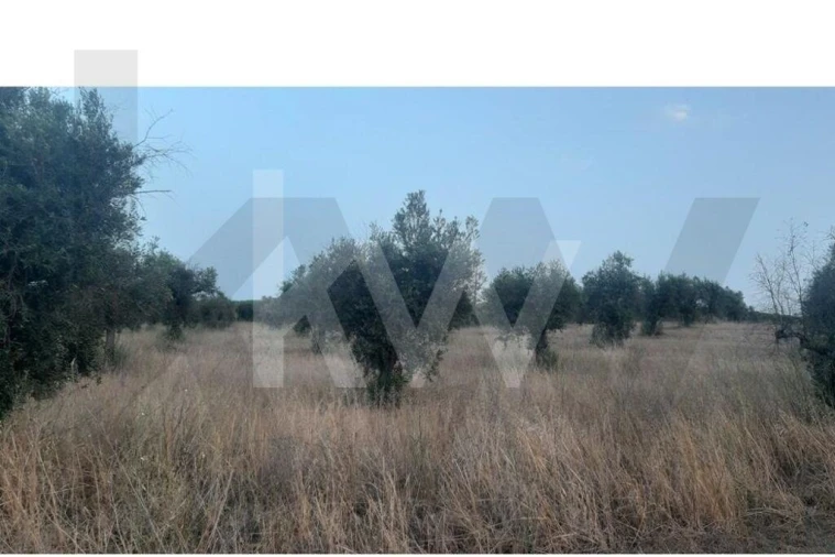 Terreno para Venda em Avis Foto 4