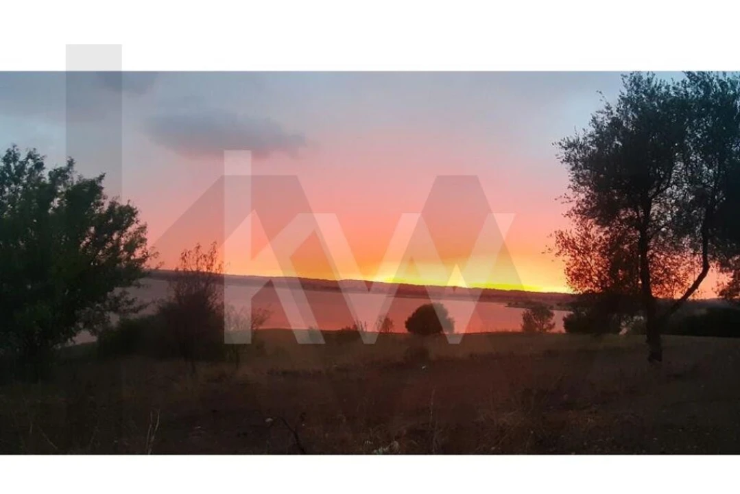 Terreno para Venda em Avis Foto 8