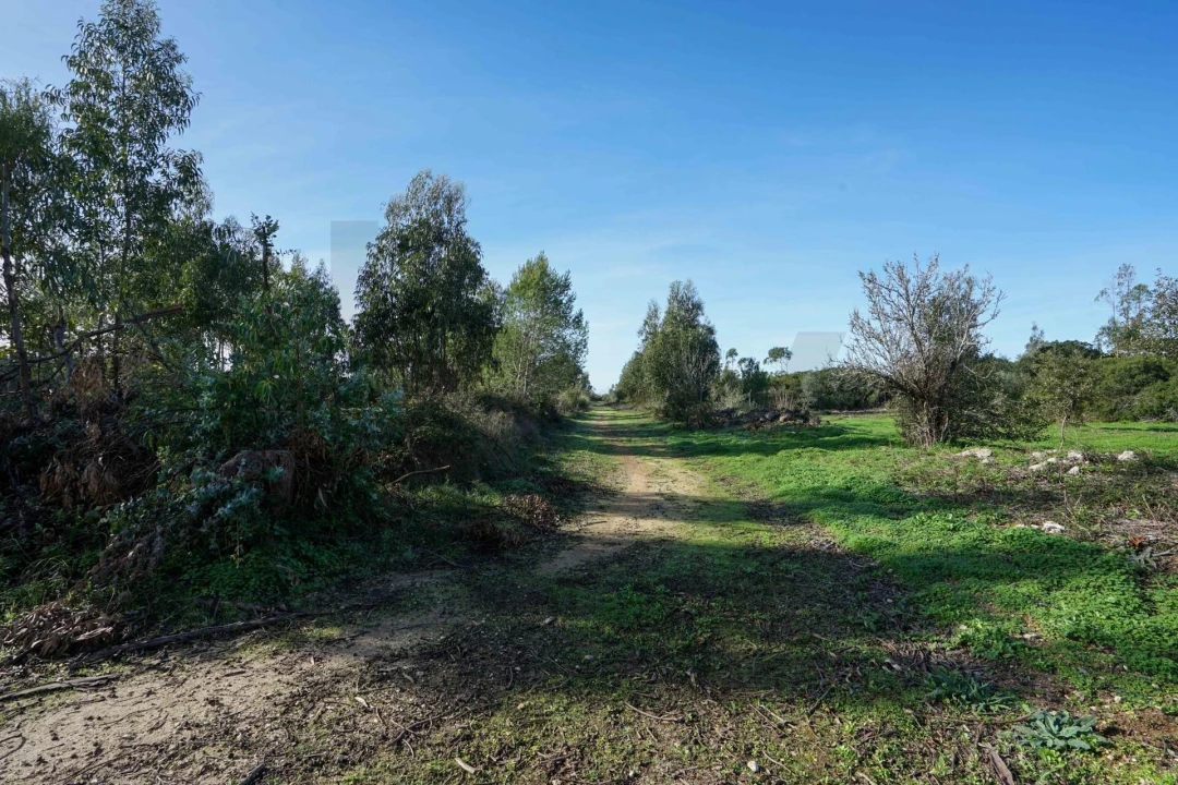 Terreno para Venda em Mina de Água Foto 9