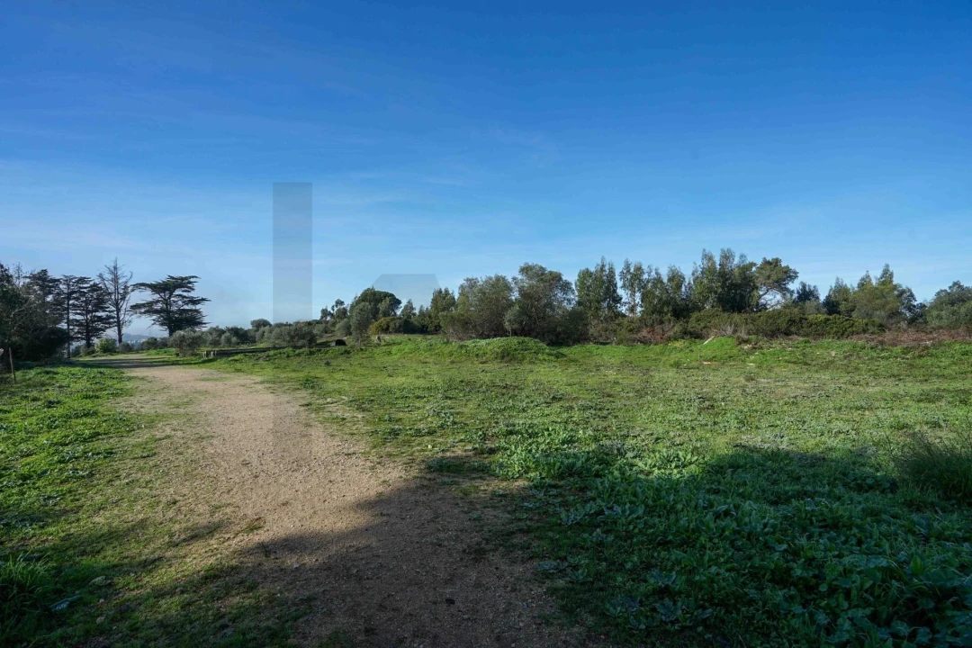 Terreno para Venda em Mina de Água Foto 3