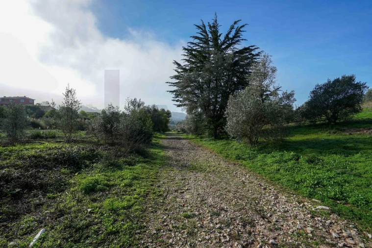 Terreno para Venda em Mina de Água Foto 15
