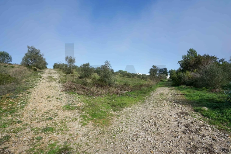 Terreno para Venda em Mina de Água Foto 12