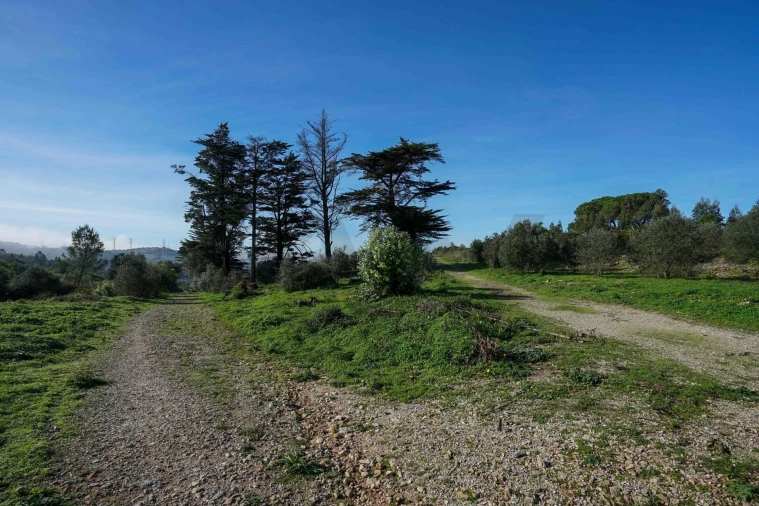 Terreno para Venda em Mina de Água Foto 4