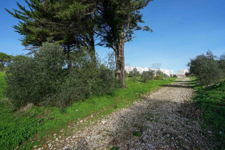 Terreno para Venda em Mina de Água Foto 11