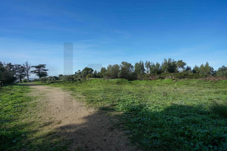 Terreno para Venda em Mina de Água Foto 3