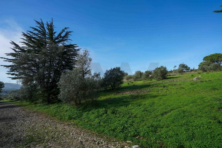 Terreno para Venda em Mina de Água Foto 10