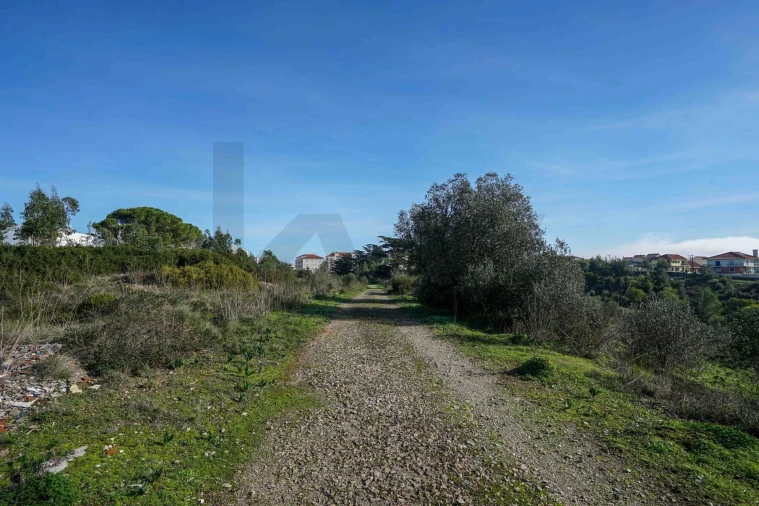 Terreno para Venda em Mina de Água Foto 6
