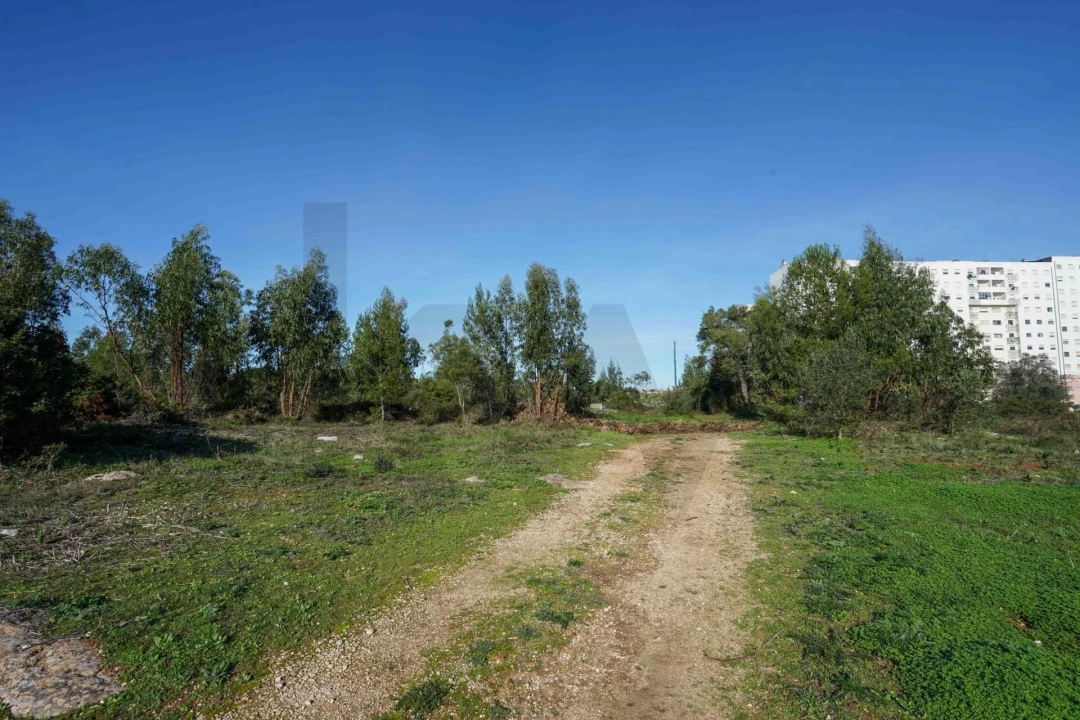 Terreno para Venda em Mina de Água Foto 8