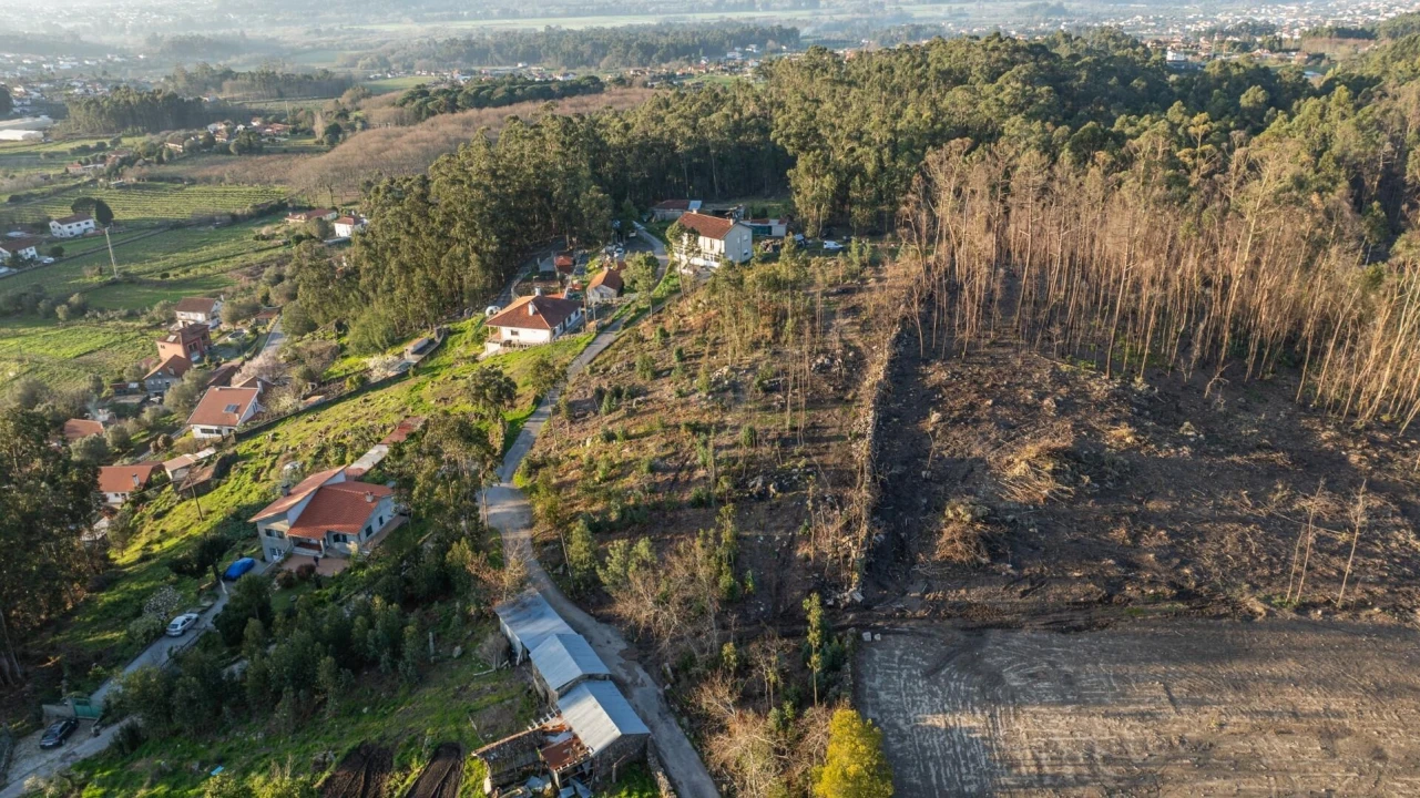 Terreno para Venda em Facha Foto 10