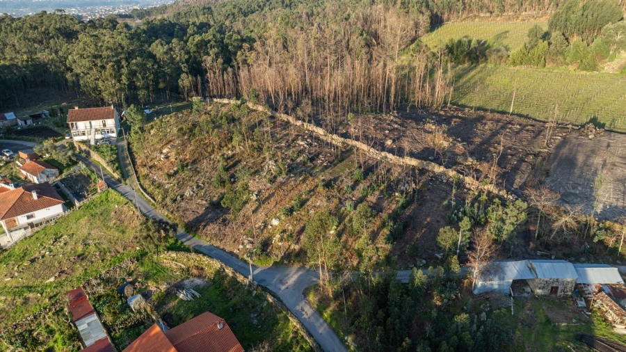 Terreno para Venda em Facha Foto 12